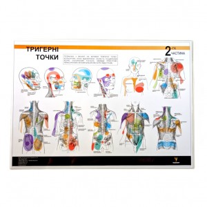 Таблица триггерных точек Медіспорт