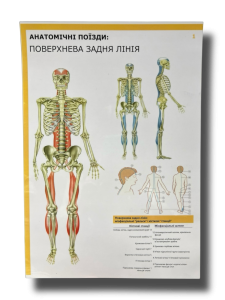 Комплект плакатів "Анатомічні поїзди" (з 7 частин)